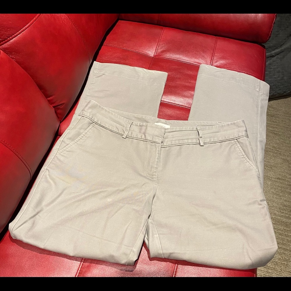 Loft pants